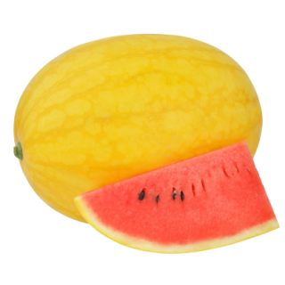 Yellow Princess Watermelon From Known You Seed (India)-KYI